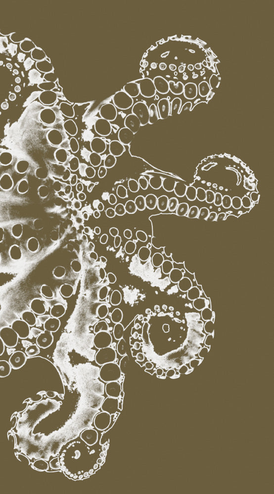 Malz & Malz Interieur / Octopus/Verde