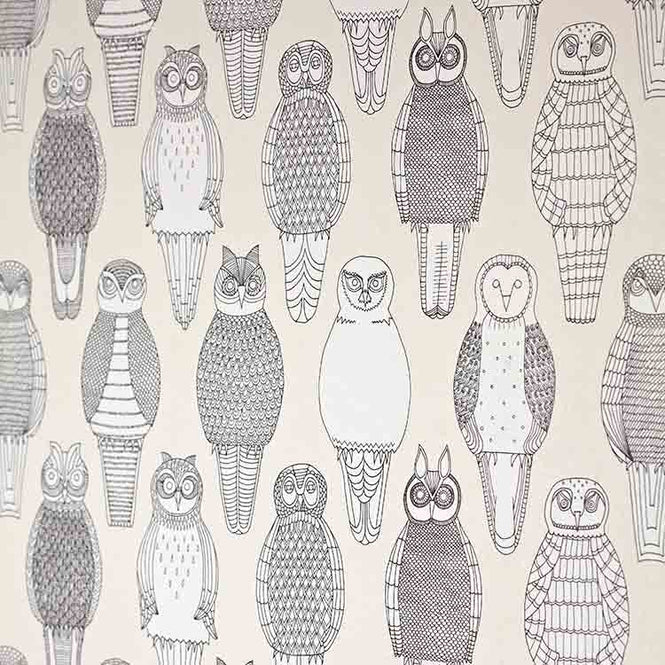 【1mサンプル】Abigail Edwards / Owls of the British Isles