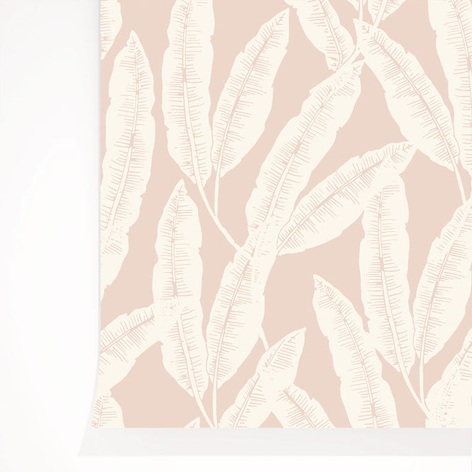 Season paper Collection / Plumes poudre PP-S1908