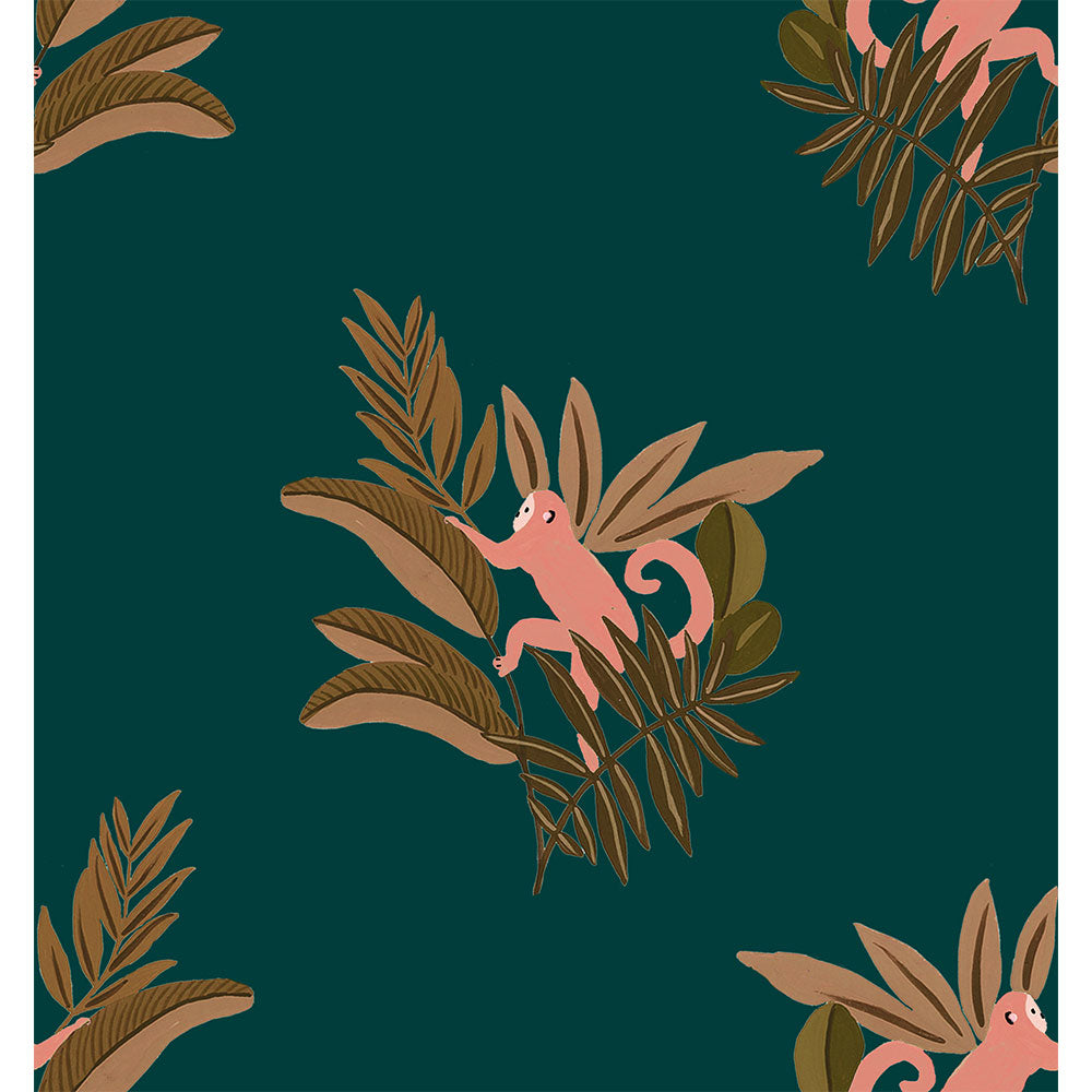 Zoom