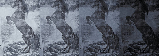 Wall&deco / Life 13 El caballo de Andy / WDEC1303