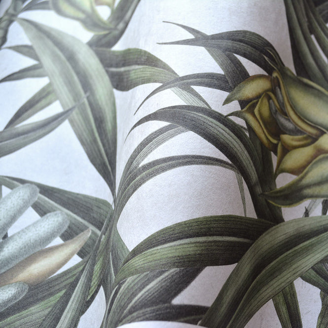 MINDTHEGAP /  EXOTIC FRUIT II WP20098