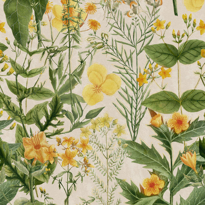 MINDTHEGAP / MIMULUS WP20323