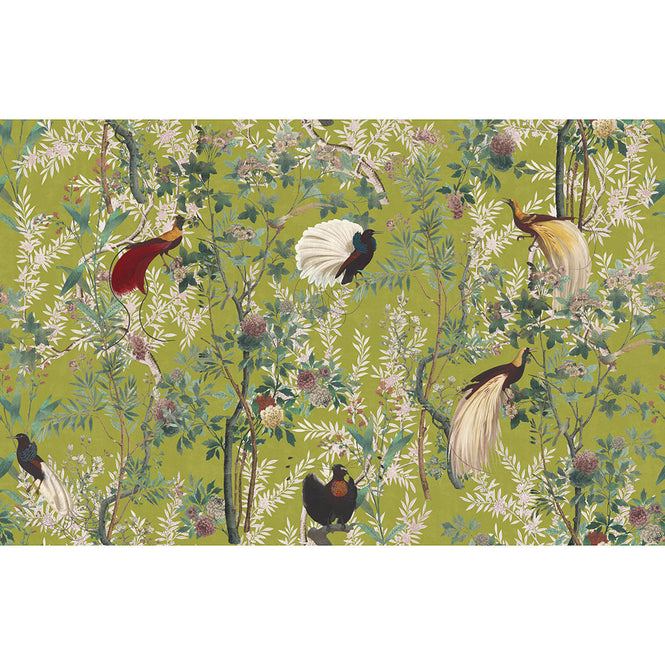 MINDTHEGAP / THE TRANSYLVANIAN MANOR / ROYAL GARDEN Green WP20465