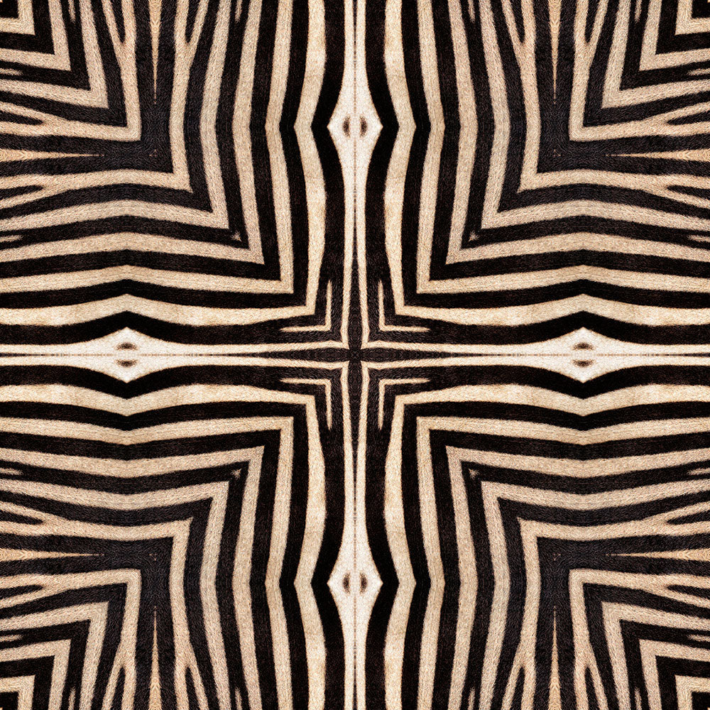 Zoom